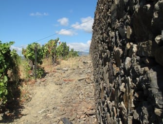 First taste: The New Douro 2011 reds & 2012 whites & a decade on, 2004 Douro reds