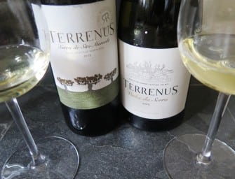 New Portalegre: Rui Reguinga’s Terrenus Vinha da Serra White