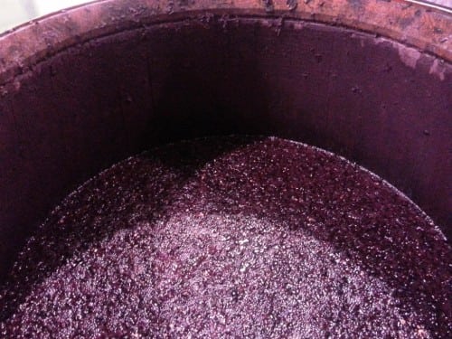 what it looks like in the barrel