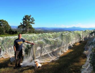 Marmalade & wine: a visit with Yarra Yering
